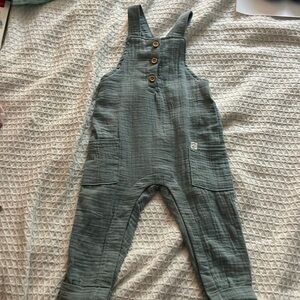 NWOT Little Planet Overalls - 12M